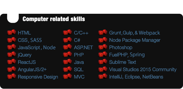 Computer related skills